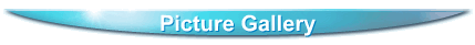 Picture Gallery